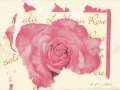La vie en rose (2013)
